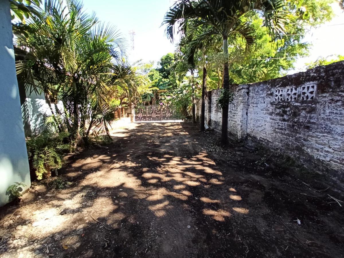 Ometepe House Panzió Moyogalpa Kültér fotó
