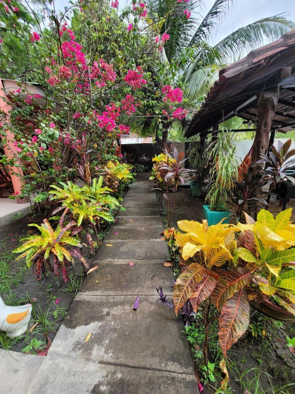 Ometepe House Panzió Moyogalpa Kültér fotó